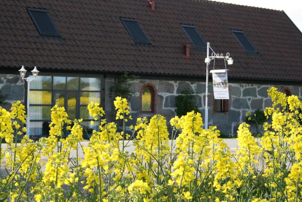 奇维克 布拉辛伯格斯嘉德舒特尔旅馆酒店 外观 照片